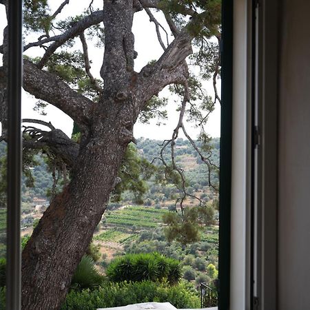 Uliveto Saglietto Agriturismo A Poggi Apartments Imperia Exterior photo